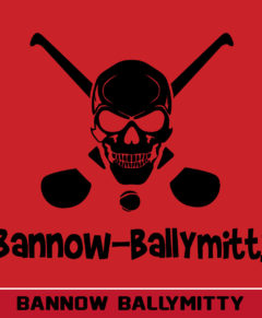 Bannow Ballymitty